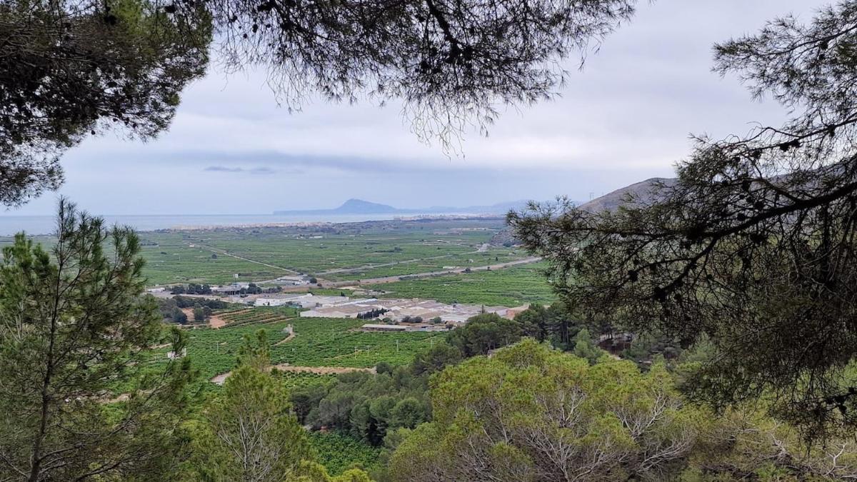 Apartmán Arena Y Mar Tavernes de Valldigna Exteriér fotografie